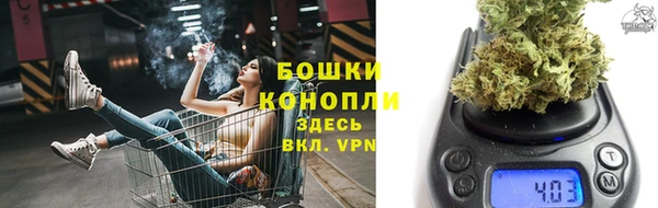 молекула духа Белокуриха