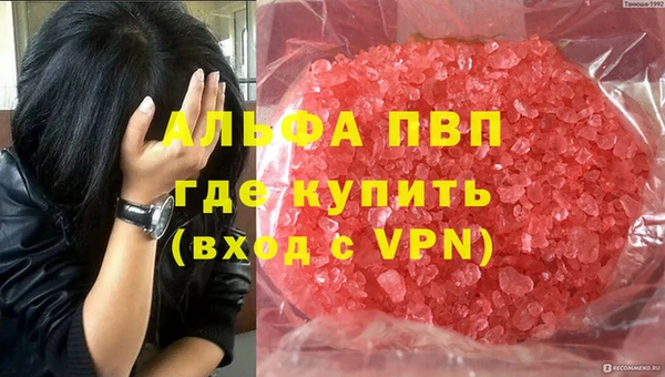 дживик Богородск
