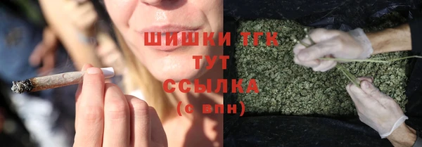 2c-b Богородицк