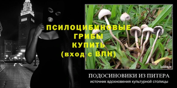 дживик Богородск