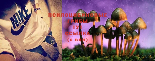 гашик Беломорск