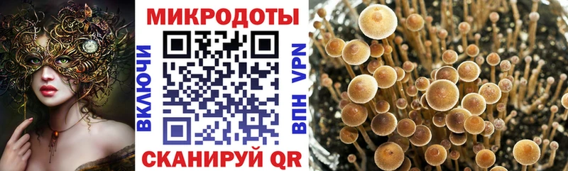 Галлюциногенные грибы MAGIC MUSHROOMS  Купить  Называевск 