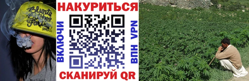 Купить где  Называевск  Канабис индика 